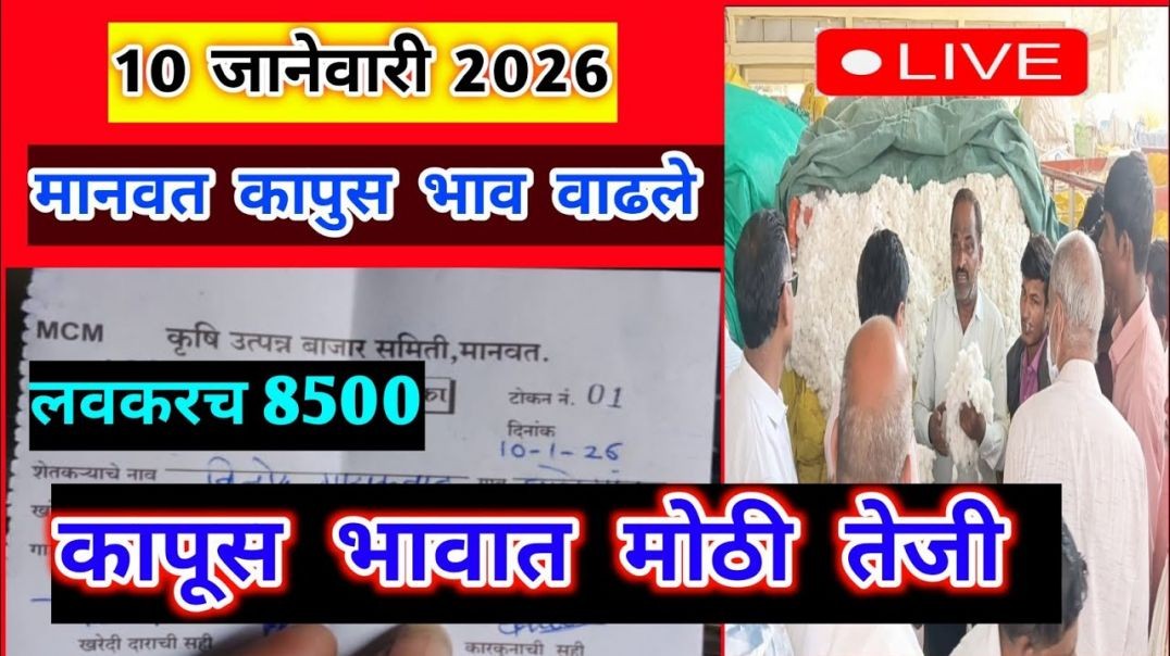 ⁣10 जानेवारी 2026।मानवत कापूस भाव वाढले|Kapus bajar bhav।कापुस बाजार भाव आजचे |8200|