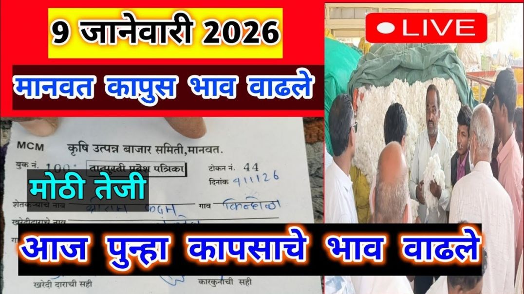 9 जानेवारी 2026।मानवत कापूस भाव वाढले।Kapus bajar bhav।कापुस बाजार भाव आजचे