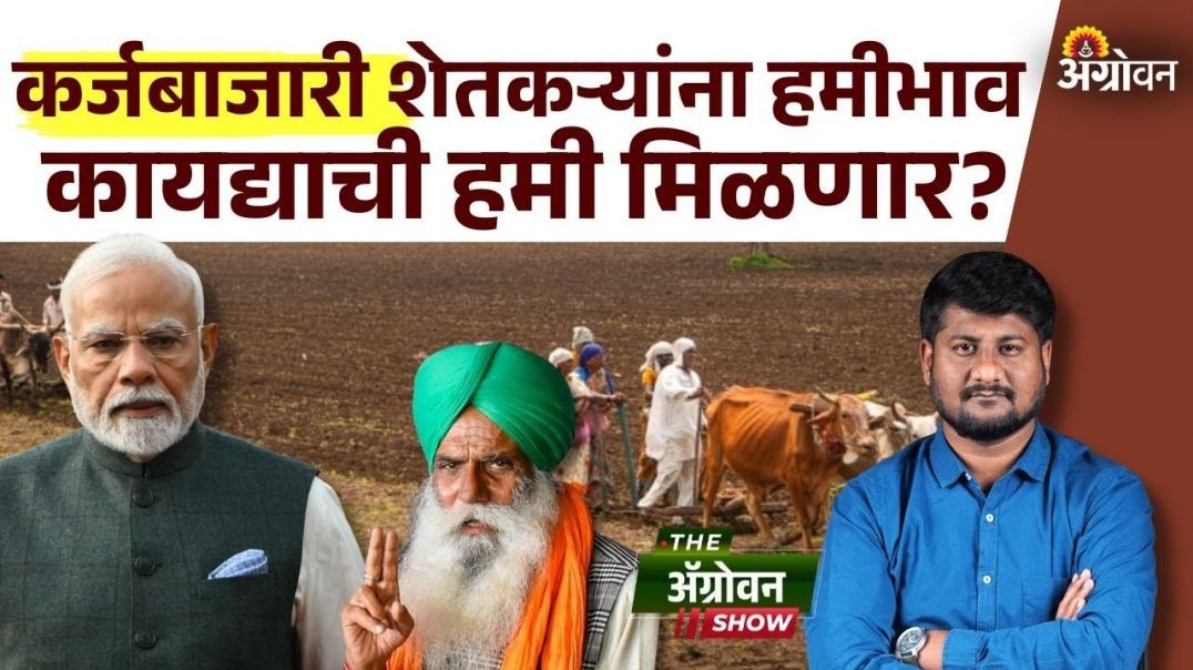 Farmer Loan : केंद्र सरकार शेतकऱ्यांसाठी हमीभाव कायद्याची हमी देणार का?