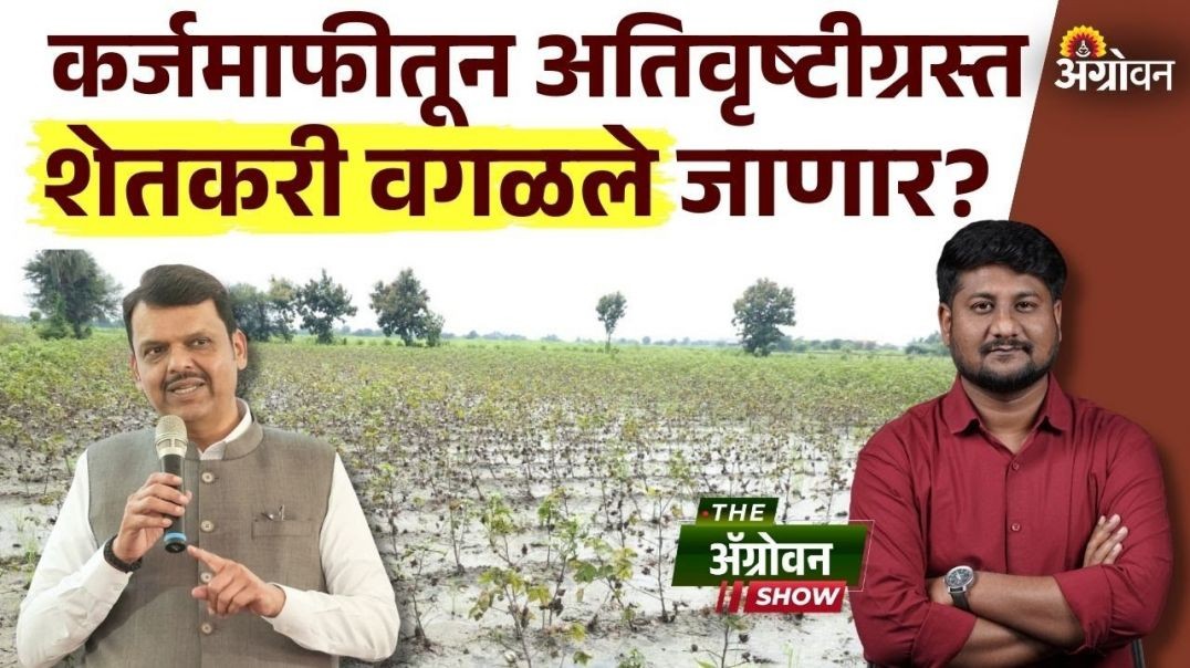 Farmer Loan Waiver : २०२५ पर्यंतच्या थकबाकीदार शेतकऱ्यांना कर्जमाफी मिळणार का?