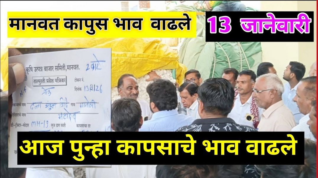 13 जानेवारी 2026।मानवत कापूस भाव वाढले|Kapus bajar bhav।कापुस बाजार भाव आजचे।8400